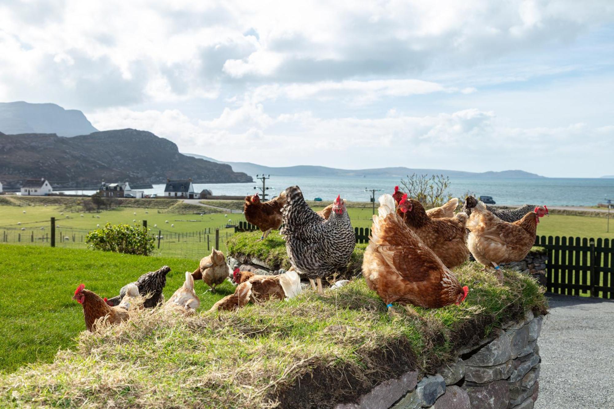 Croft Cottage Ullapool Luaran gambar